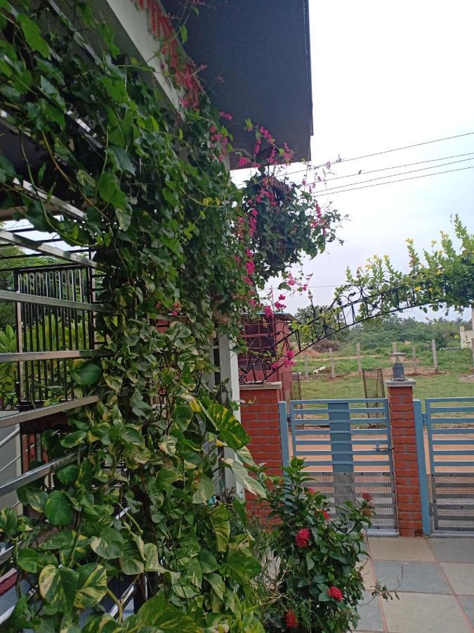Mango Tree Homestay هامبي المظهر الخارجي الصورة