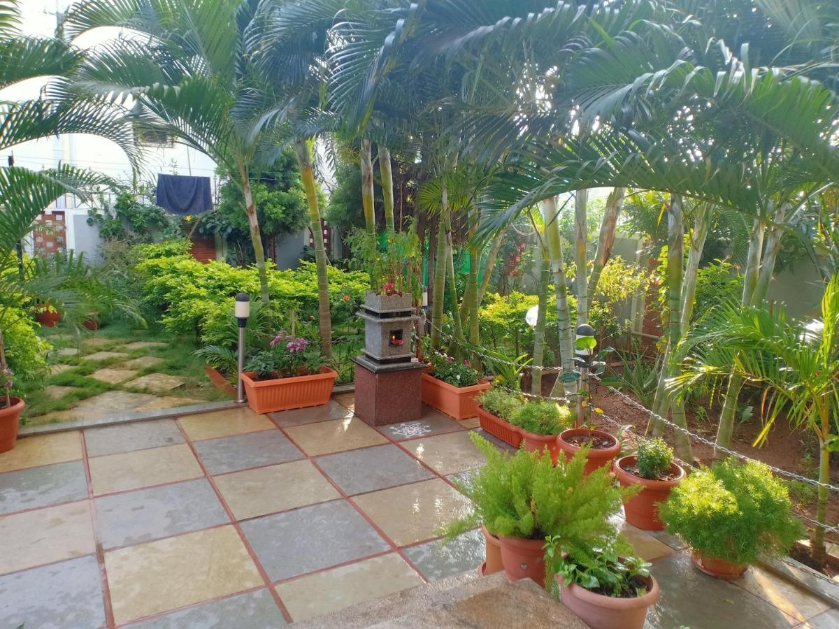 Mango Tree Homestay هامبي المظهر الخارجي الصورة