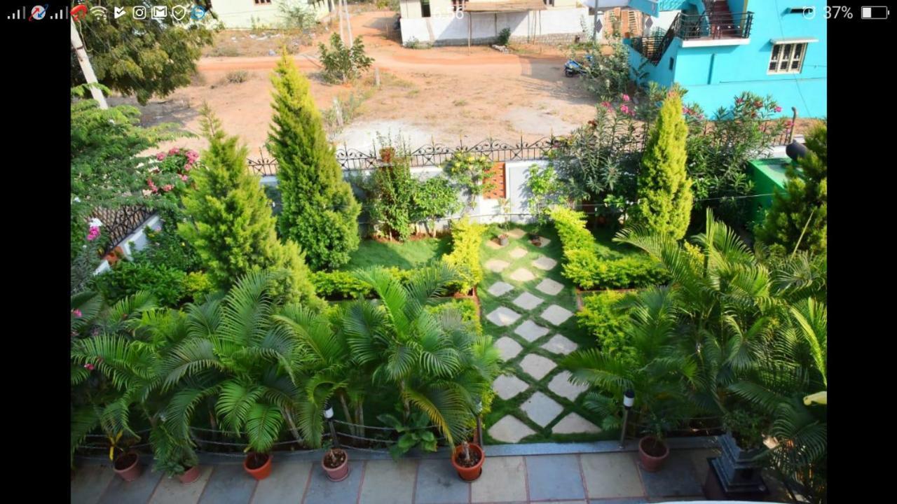 Mango Tree Homestay هامبي المظهر الخارجي الصورة