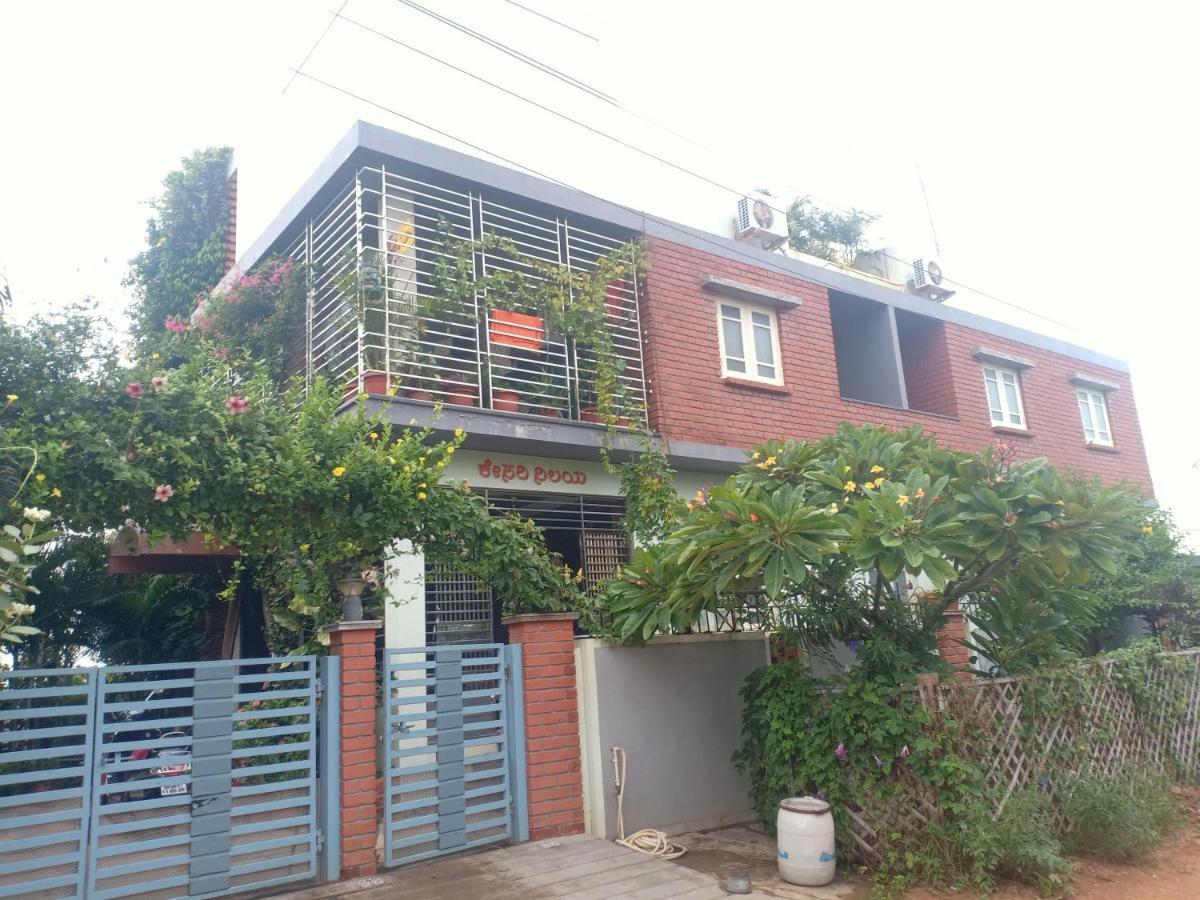 Mango Tree Homestay هامبي المظهر الخارجي الصورة