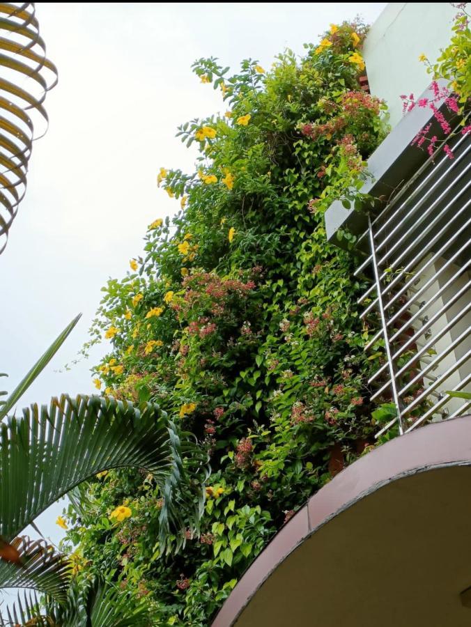 Mango Tree Homestay هامبي المظهر الخارجي الصورة